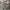 Military Cargo Pants Camo US/Korean Army  photo 1