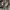 Military Cargo Pants Camo US/Korean Army  photo 3