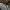 Military Cargo Pants Camo US/Korean Army  photo 4
