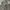 Military Cargo Pants Camo US/Korean Army 