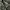 Military Cargo Pants Camo US/Korean Army  photo 5