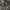 Military Cargo Pants Camo US/Korean Army  photo 6