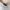 Fluke Skateboard Streetwear Skater Sweater Pria cream photo 5