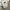 Fluke Skateboard Streetwear Skater Sweater Pria cream photo 4