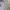 Vintage Minimalist Nightgown Wanita purple white photo 5