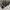 CARGO PANTS COLUMBIA MILITARY CAMO photo 5
