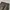 CARGO PANTS COLUMBIA MILITARY CAMO photo 7