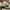 Converse CT 70s photo 7