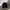 Crewneck polo uspa black photo 1