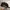 ROPEHAT BACKHOE CAPITAL photo 4