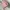 scarf baby pink photo 2