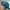 ROPEHAT INTERNATIONAL SURFACE BY OTTO photo 5