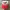 VINTAGE F1 BELEDIYESI HAT photo 1