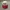 VINTAGE F1 BELEDIYESI HAT photo 1