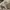 VINTAGE F1 BELEDIYESI HAT photo 3