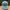 Topi New Era Colab NFL 39 Thirty photo 1