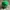Subway Crew Employee Promo Hat 5 Panel Logo Embroidered photo 4