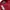 Von Dutch Classic Logo Crewneck Sweatshirt  photo 6