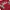 Von Dutch Classic Logo Crewneck Sweatshirt  photo 3