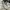 NEWBALANCE 530 WHITE SILVER photo 6