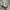 NEW BALANCE 530 METALLIC SILVER photo 1