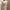 This is April Sleveless Cream Vest photo 6