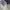 Y2K Casual Mini skirt Wanita blue photo 3