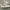 PUMA SUEDE CREAME photo 1