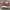 PUMA SUEDE RED  photo 1