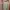 H&M Pastel Pants & Jumpsuit Wide Leg photo 5