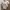 Avgal White Button Down Shirt with Ruffle Sleeves photo 6