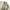 Harrington Vintage photo 2