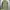 Outer field military OG army jacket By Rare photo 8