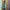 Outer field military OG army jacket By Rare photo 2