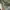 Outer field military OG army jacket By Rare photo 7