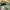 Outer field military OG army jacket By Rare photo 6