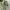 Outer field military OG army jacket By Rare photo 4