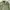 Outer field military OG army jacket By Rare photo 3