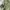 Outer field military OG army jacket By Rare photo 5