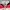 Vintage Streetwear Windbreaker Pria black red photo 3