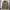 Napapijri M65 field military army jacket vintage photo 1