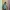 M65 Field Military Army Jacket By Ugiz