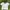 Kappa Vintage Jersey Bloke Core 