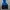 Jaket windbreaker casual adidas colorblock two tone color photo 1