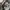 Global uniqlo blocktech photo 5