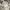 Trucker Hatt Titleist White photo 5