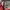The nort face hyvent jacket outdor multipockt photo 5