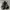 Vest tactical motor cycle photo 2