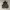Vest tactical motor cycle photo 3