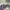 Kaos vintage Anime LOVE LIVE! Nico Yazawa  ©2013 AOP colour  photo 4